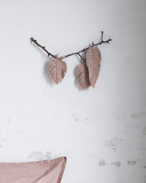Society-of-lifestyle-brand-by-nord-mobile