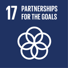 SDG 17-color